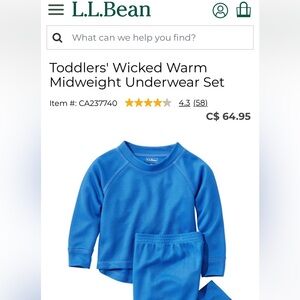 L.L. Bean Wicked Warm Underwear Set / Sleepwear